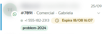 Cartão de uma conversa com o número do ticket, o departamento, o atendente, a expiração da janela e uma tag